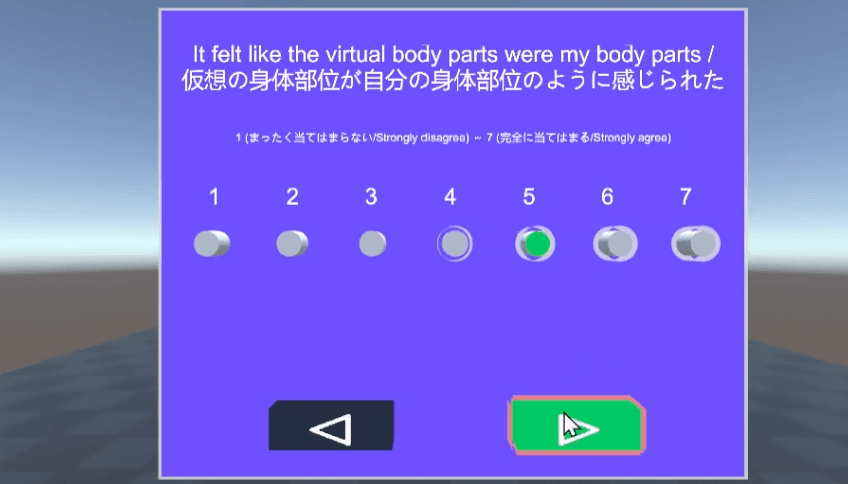 The VEQ items, with the participant selecting a 7-point response.